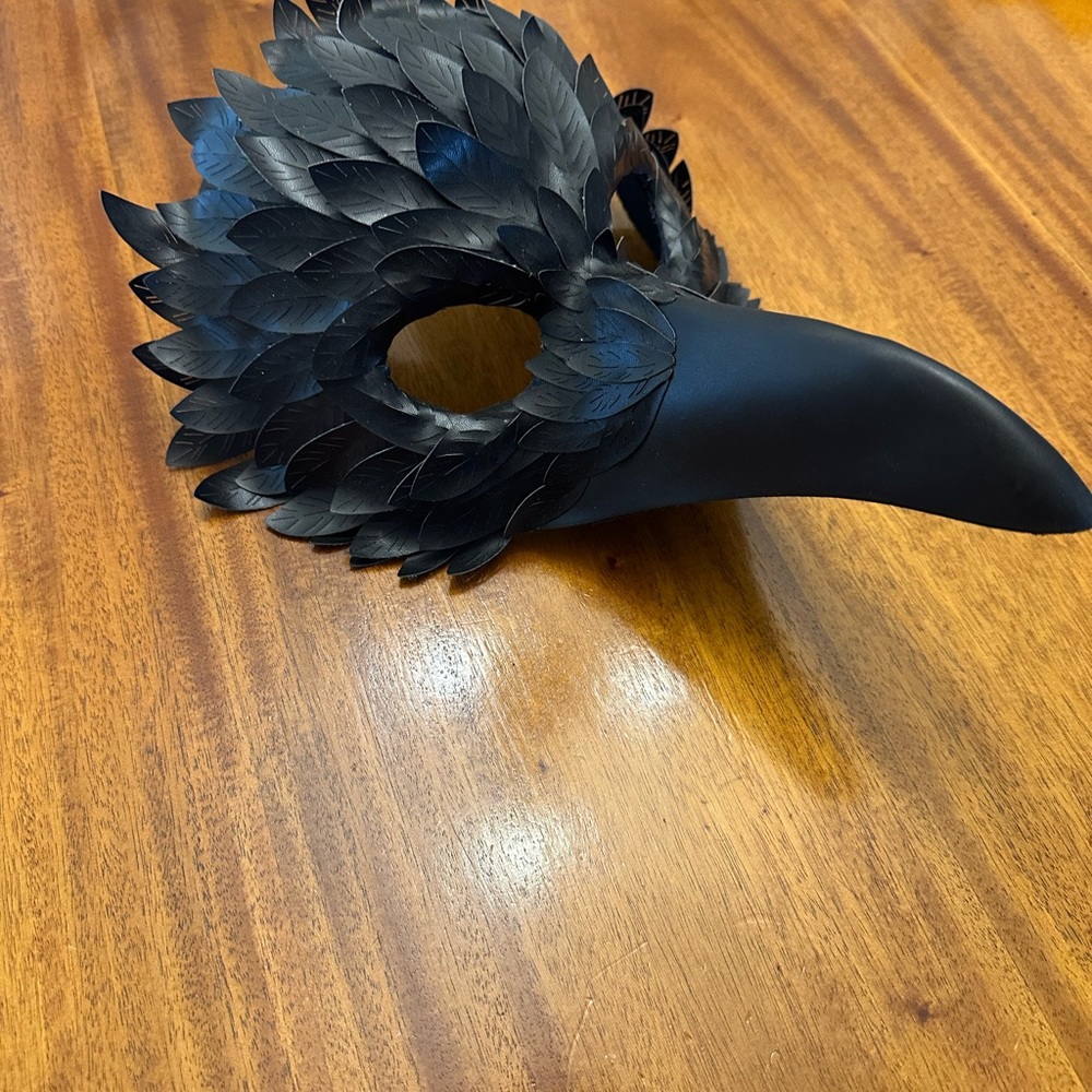 Source Unknown Black Feathered Mask